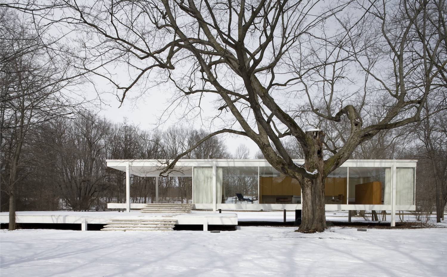 Casa Farnsworth, de Mies van der Rohe, en la nieve