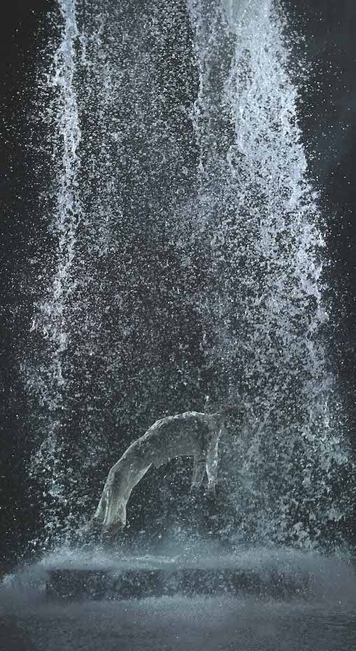 Ascensión de Tristán. Vill Biola (2005)