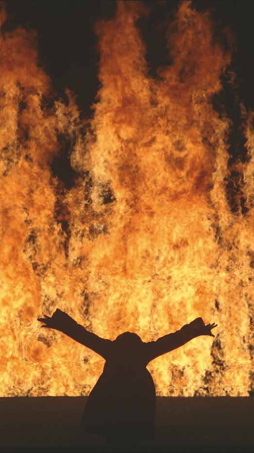 Mujer ardiendo. Bill Viola (2005)