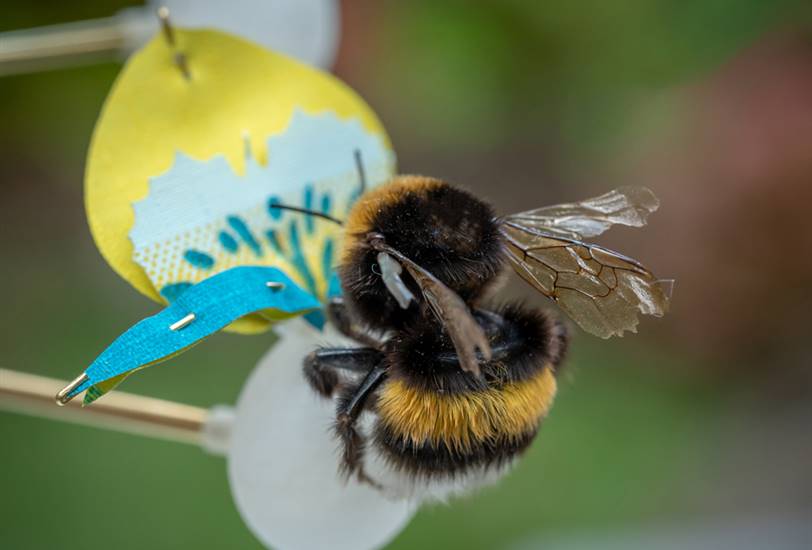 Abeja en una flor artificial del proyecto 'Insectology Food for Buzz'.
