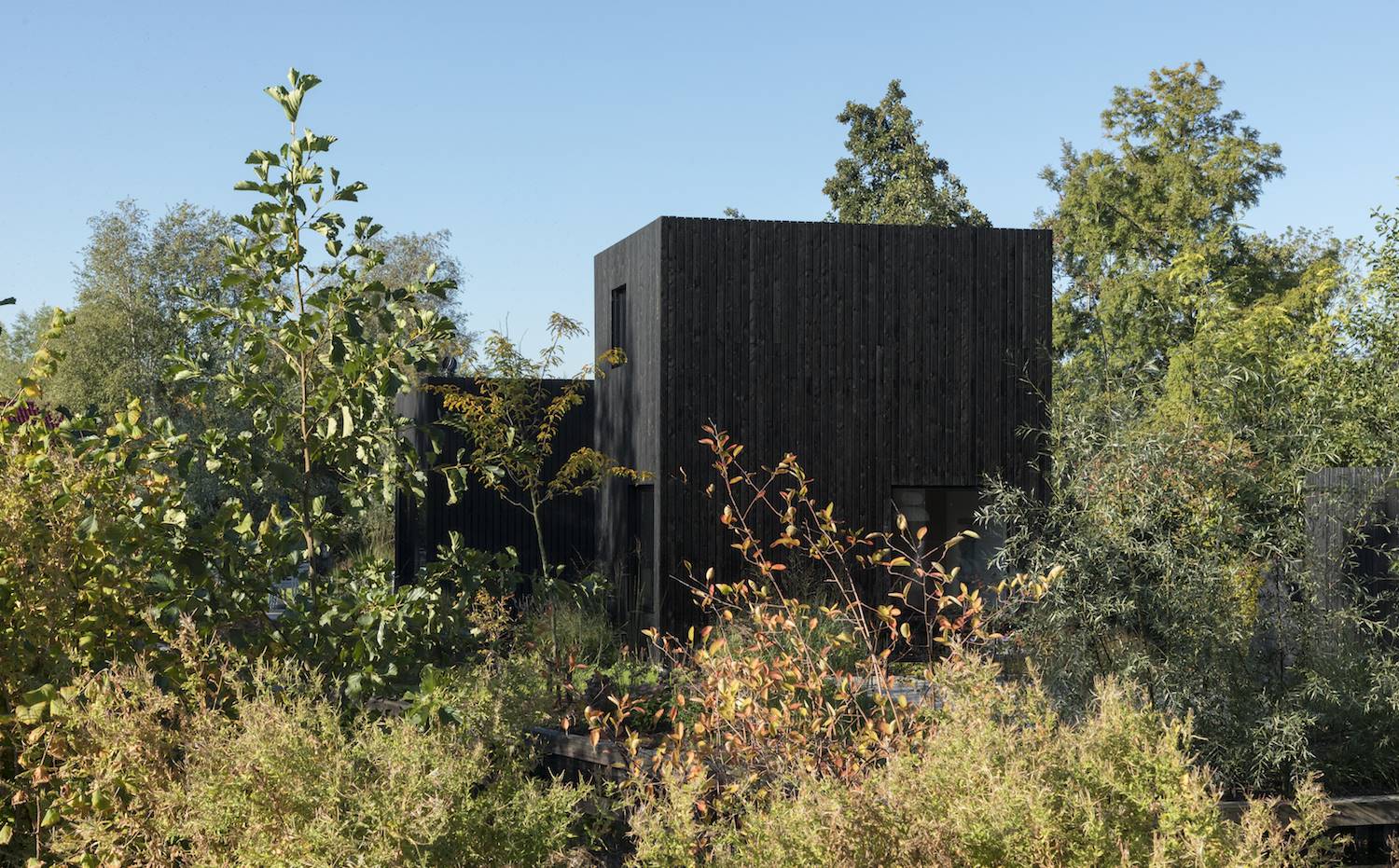 i29 architects junto a Chris Collaris ha diseñado una casa de vacaciones para una familia.