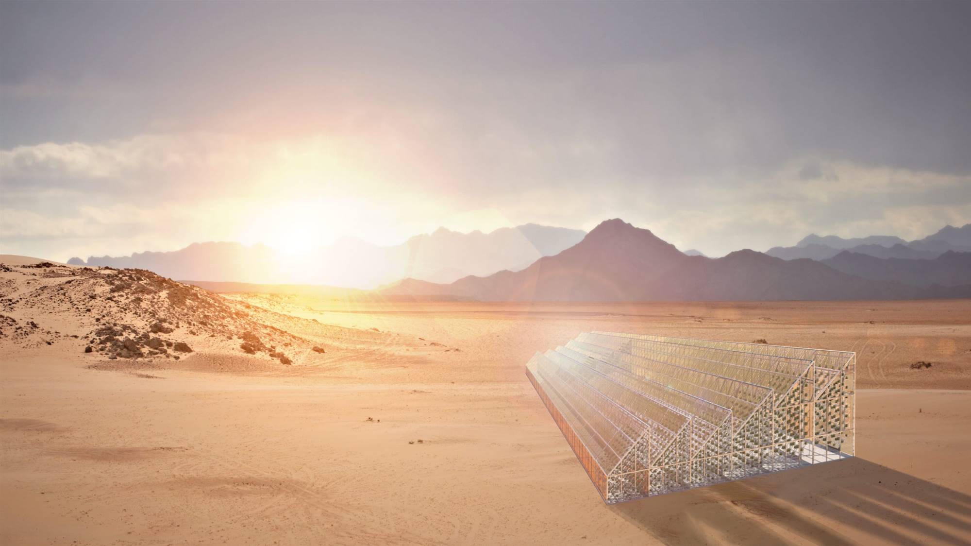 Proyecto de planta solar en el desierto.