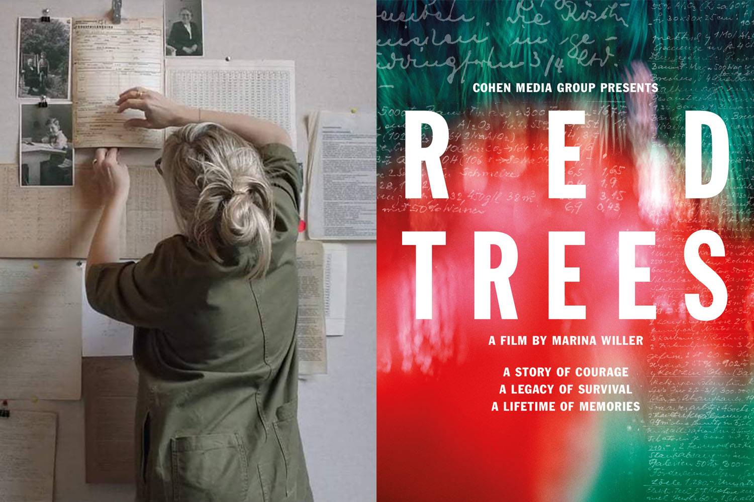 red trees pelicula dirigida por marina willer. [ ] Marina Willer, imágenes con memoria