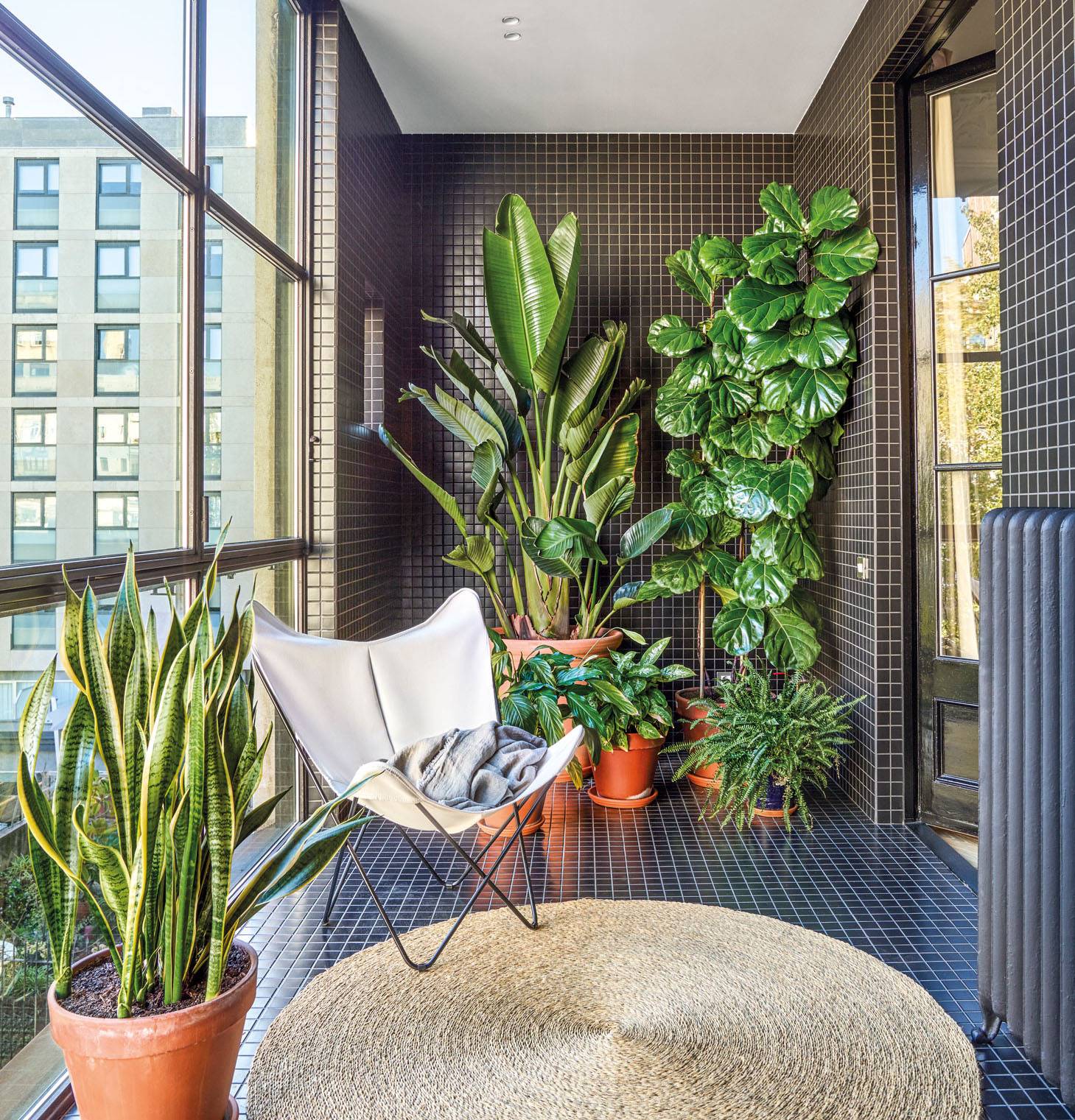 rincón con butaca y plantas. Un pulmón verde para tu piso