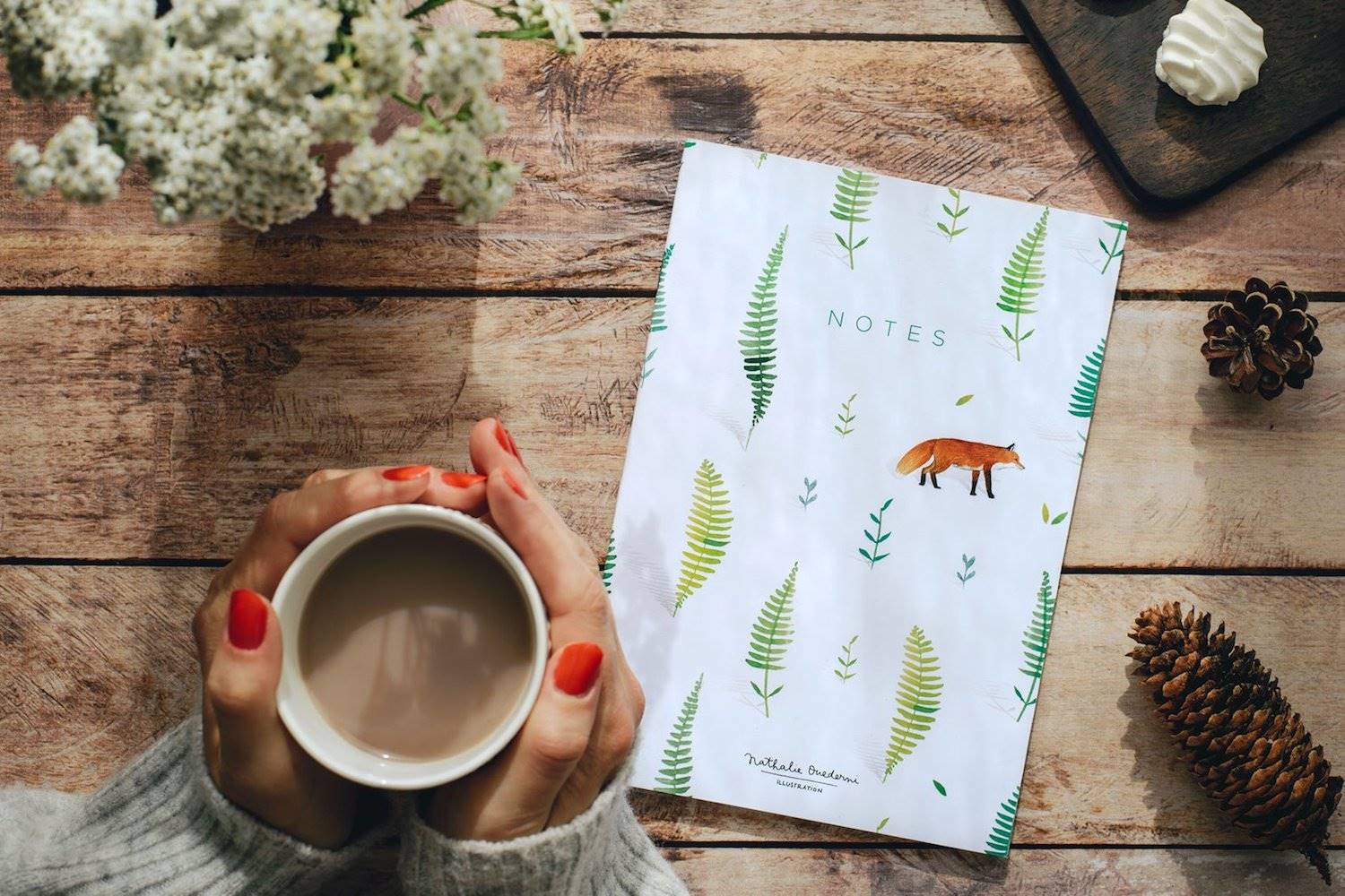 Ilustraciones de plantas de Nathalie de Ouedermi