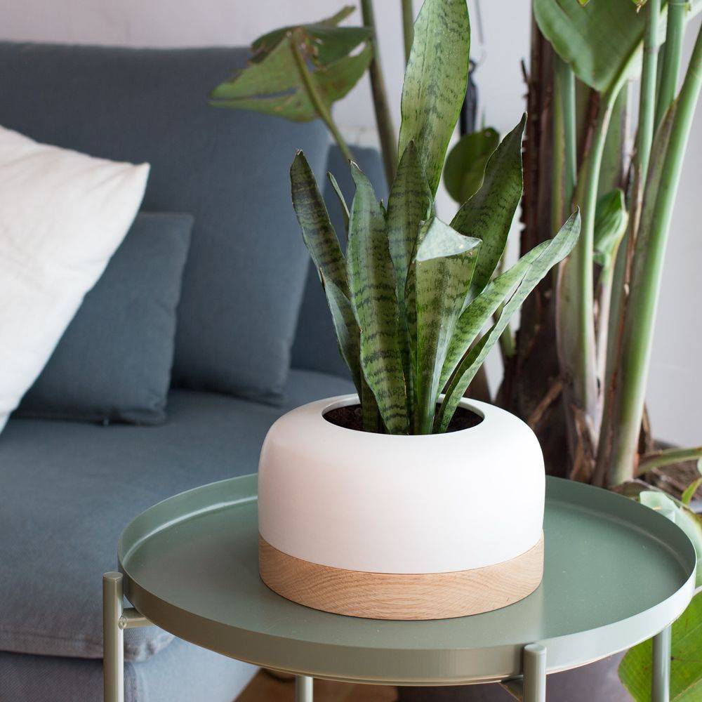 Maceta de ceramica y madera de Bas