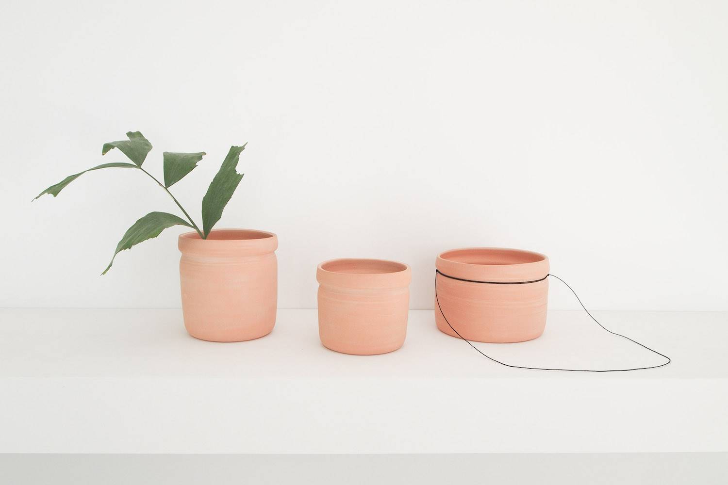Macetas de Terracota de Working in the woods