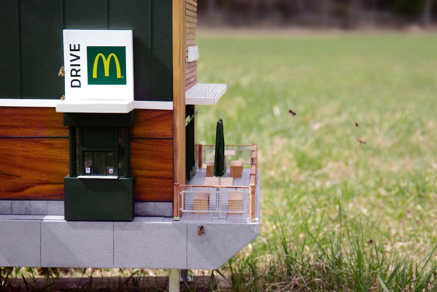 Las abejas están encantadas con el servicio del restaurante, en el que se han cuidado todos los detalles.