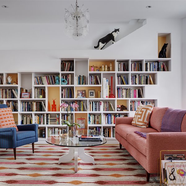 Santuario de libros, paraíso de gatos