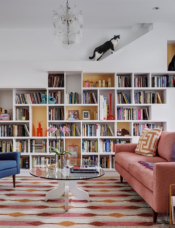 Santuario de libros, paraíso de gatos