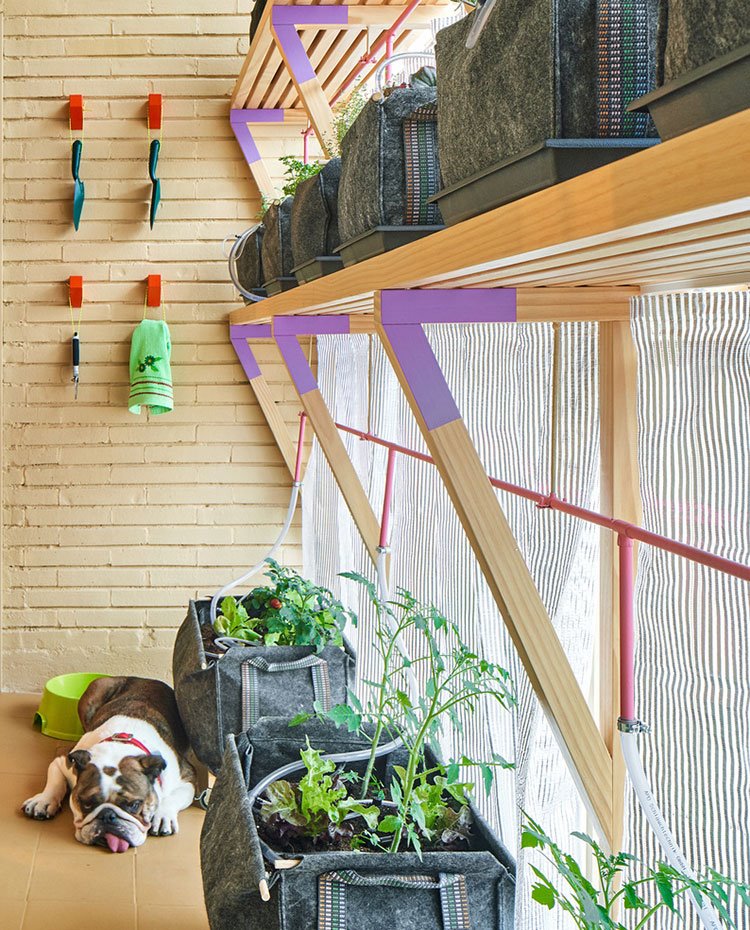 Estantes de madera con triángulos de apoyo, macetas con plantas, pared piedra vista con palas de jardinería, perro descansando