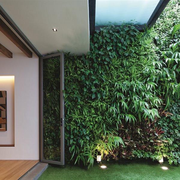 Las paredes vegetales regulan de manera natural la humedad relativa en el interior de la vivienda. Proyecto de Ong & Ong