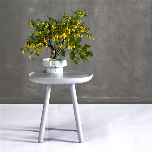 15 productos de diseño eco para mimar el planeta