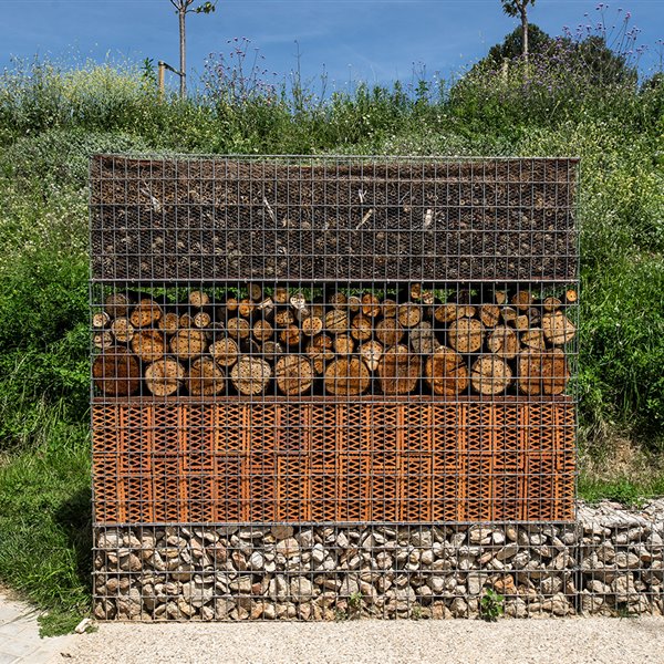 Un hotel para que los insectos tengan un lugar durante todo el año