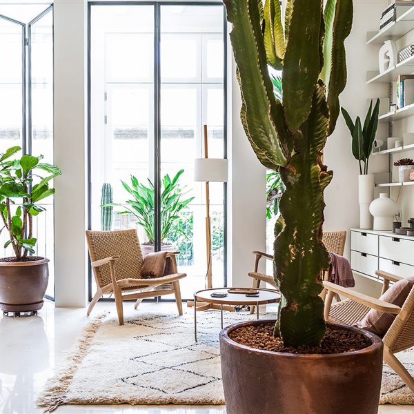 Ylab Arquitectos han convertido este apartamento en un espacioso loft que multiplica los metros