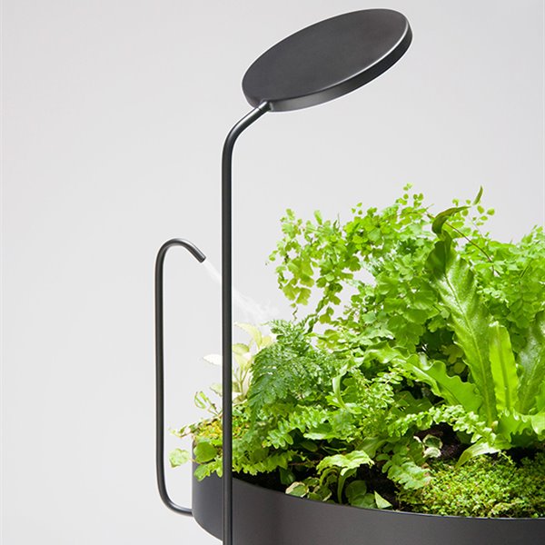 Estas lámparas llenan de luz tus plantas de interior