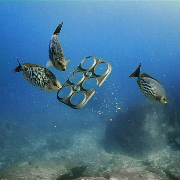 we-believers saltwater-brewery edible-six-pack-rings dezeen 1568 8