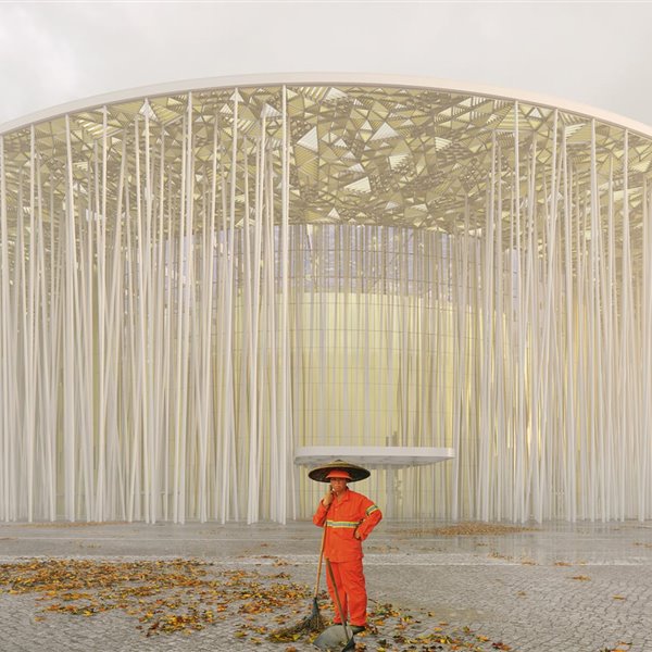 Un bosque de bambú para construir un teatro