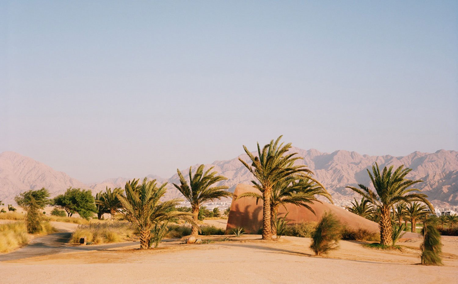 Desierto-con-palmeras-y-estructura-de-ondulante-de-acero