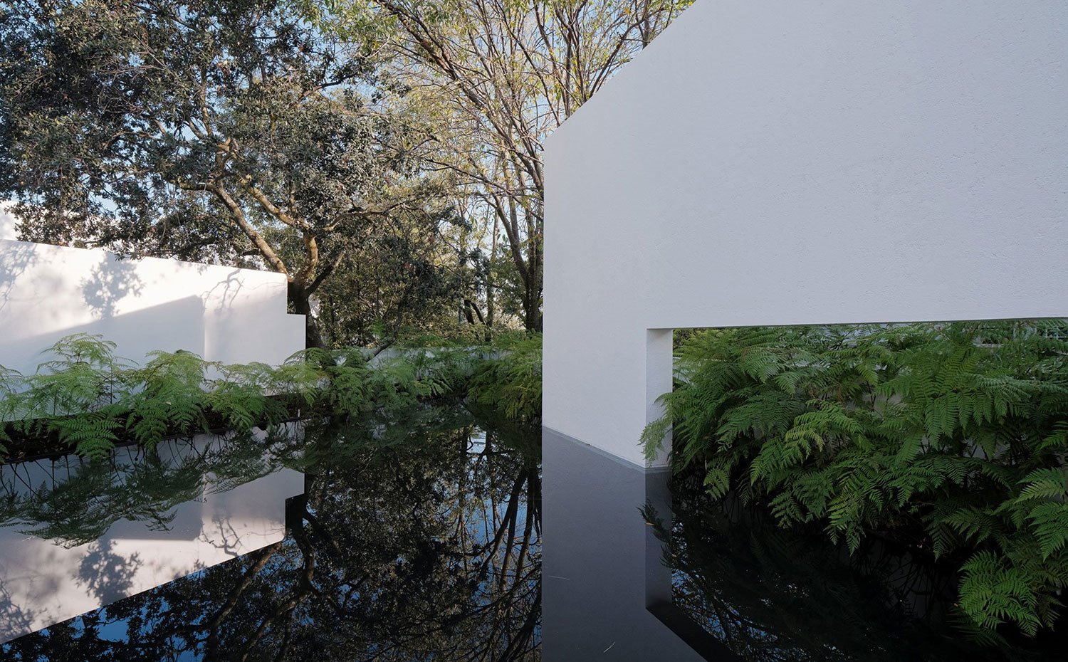 Piscina-en-azotea,-estructura-blanca-recortada,-densa-vegetación-y-árboles-