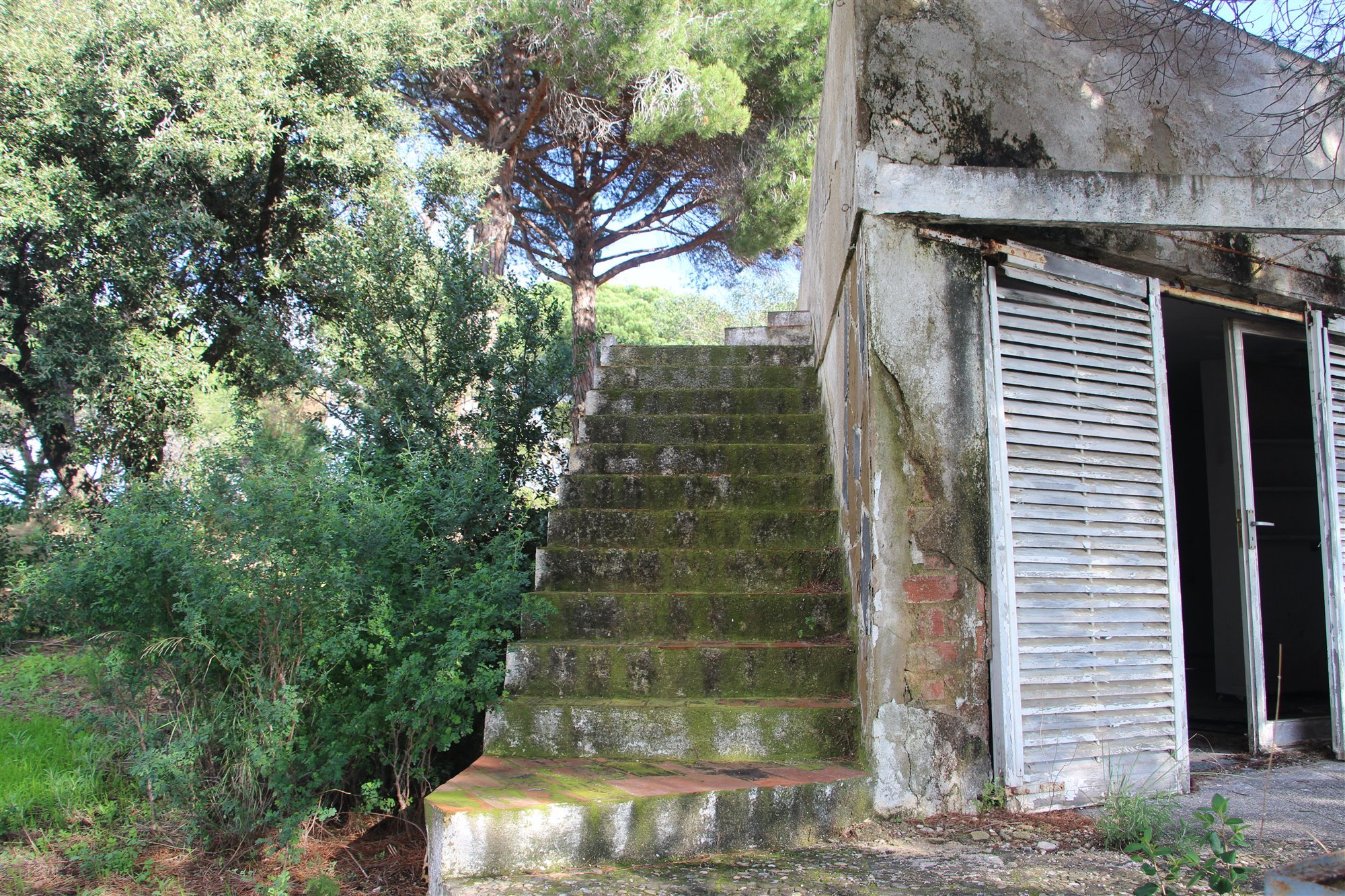 Escaleras de la casa de Coderch. Escaleras cubiertas de musgo en un lateral de la casa, fotografía de Morrosko Vila-San-Juan