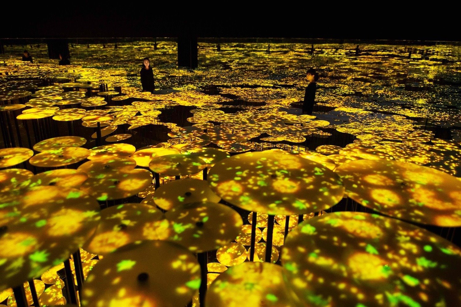 Memory of Topography Autumn del estudio interdisciplinar teamLab