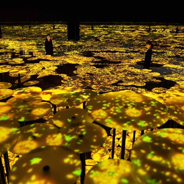 Memory of Topography Autumn del estudio interdisciplinar teamLab