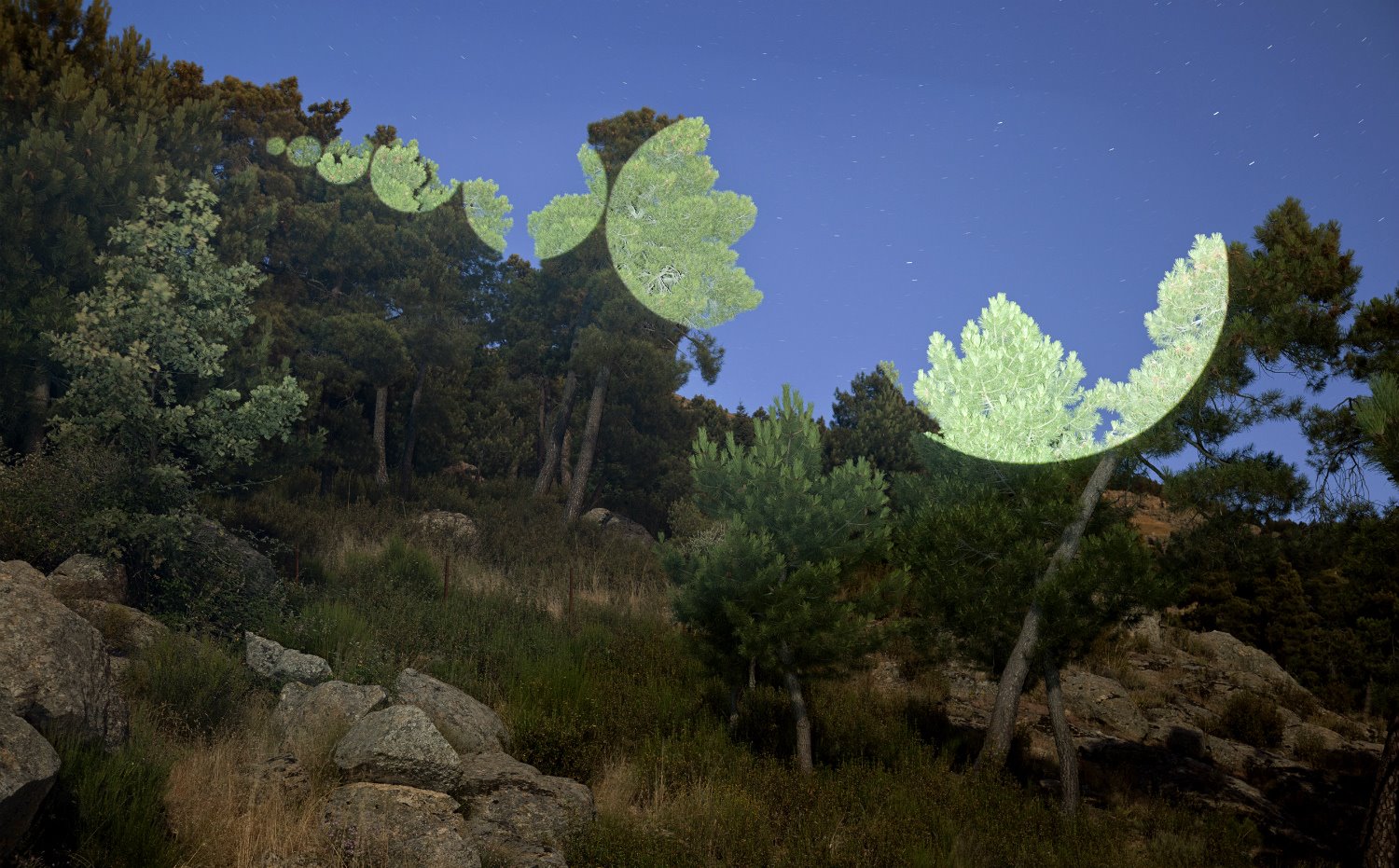 Fotografía hecha en la Naturaleza, de Javier Riera.