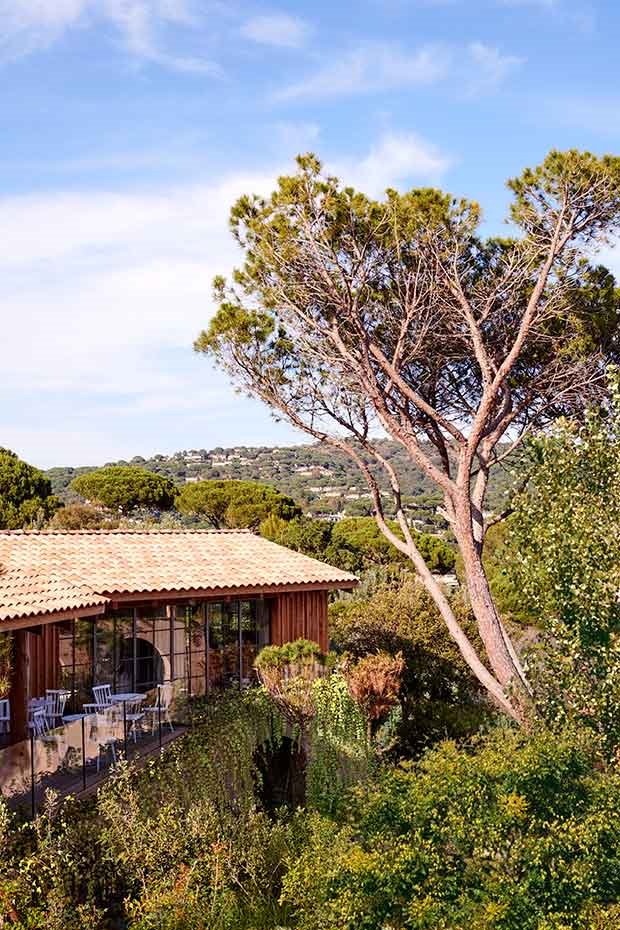 Hotel-Philippe-Starck-Provenza-Naturaleza