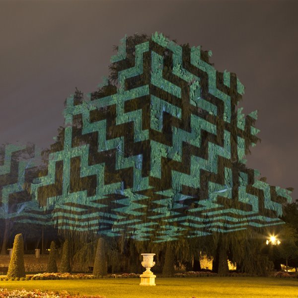 El fotógrafo Javier Riera lleva sus mappings a los bosques 