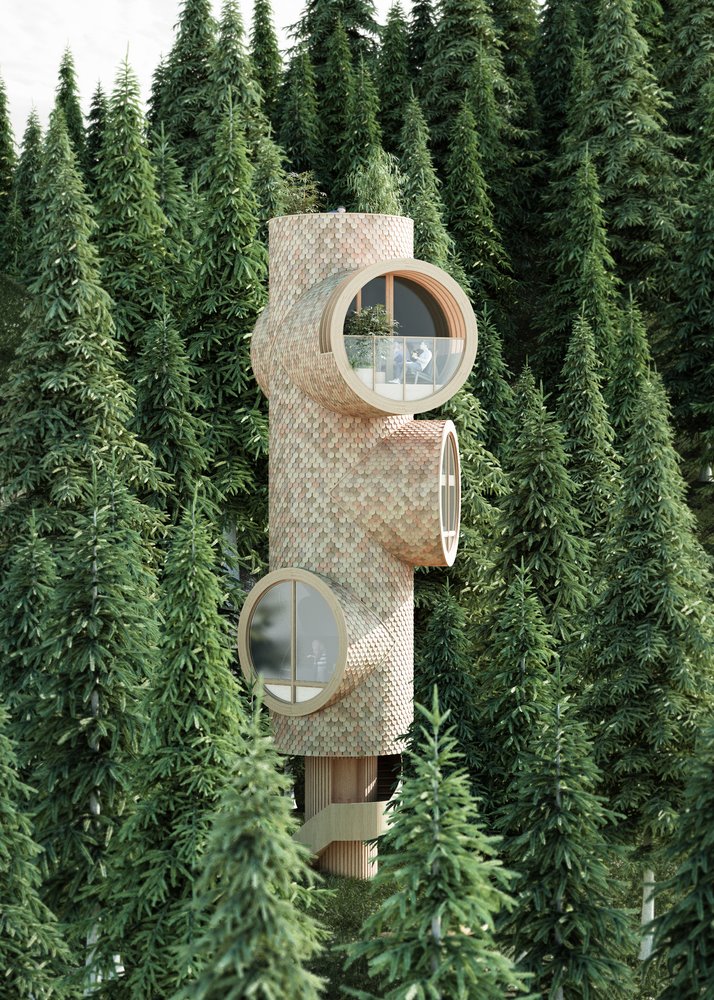 casa árbol de estudio Precht