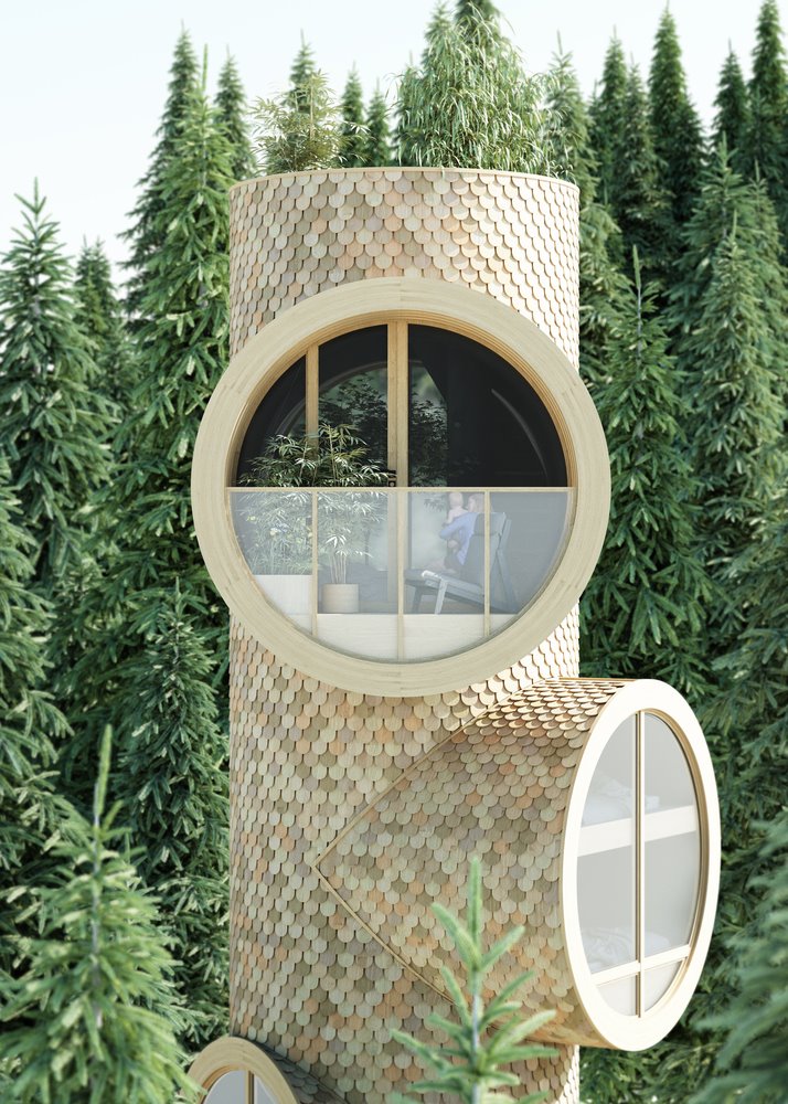 casa árbol de estudio Precht