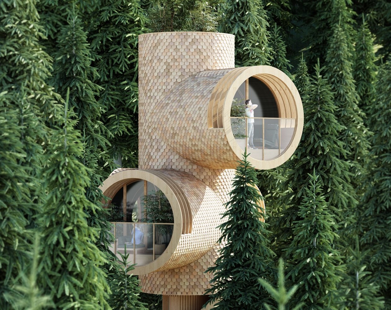 casa árbol de estudio Precht