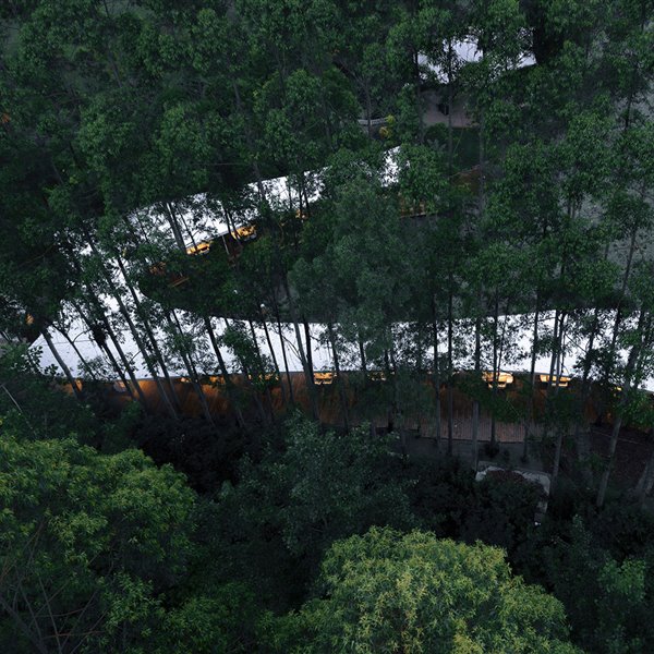 Un restaurante oculto en un bosque de eucaliptos 