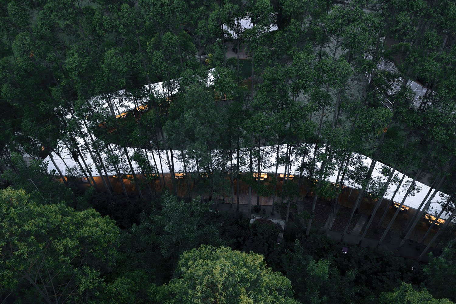 restaurante Garden Hotpot de MUDA-Architects en Chengdu China