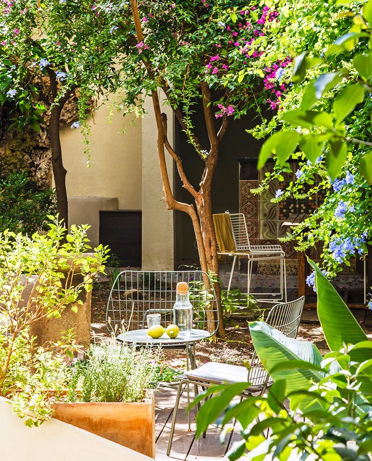 Jardín exterior con árboles y sillas cromadas