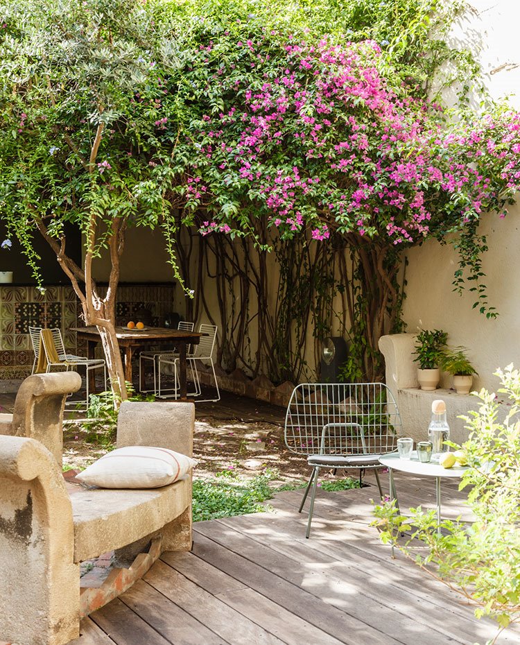 Tarima de madera, asientos de madera, sillas cromadas, comedor exterior bajo la copa de árboles y plantas en pared