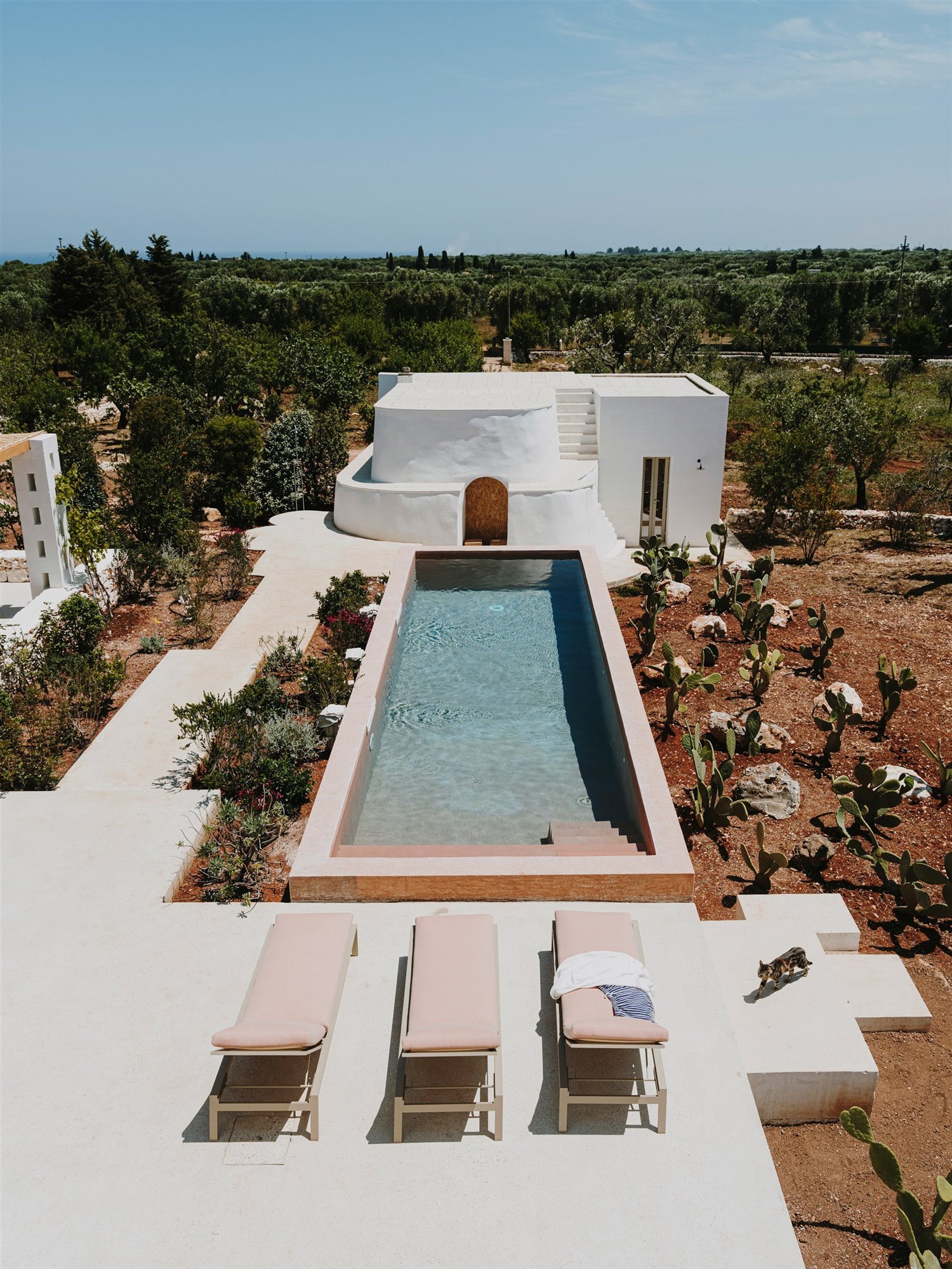 Villa cardo puglia piscina