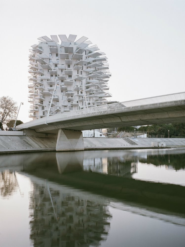 L' Arbre Blanc en Montpellier. 