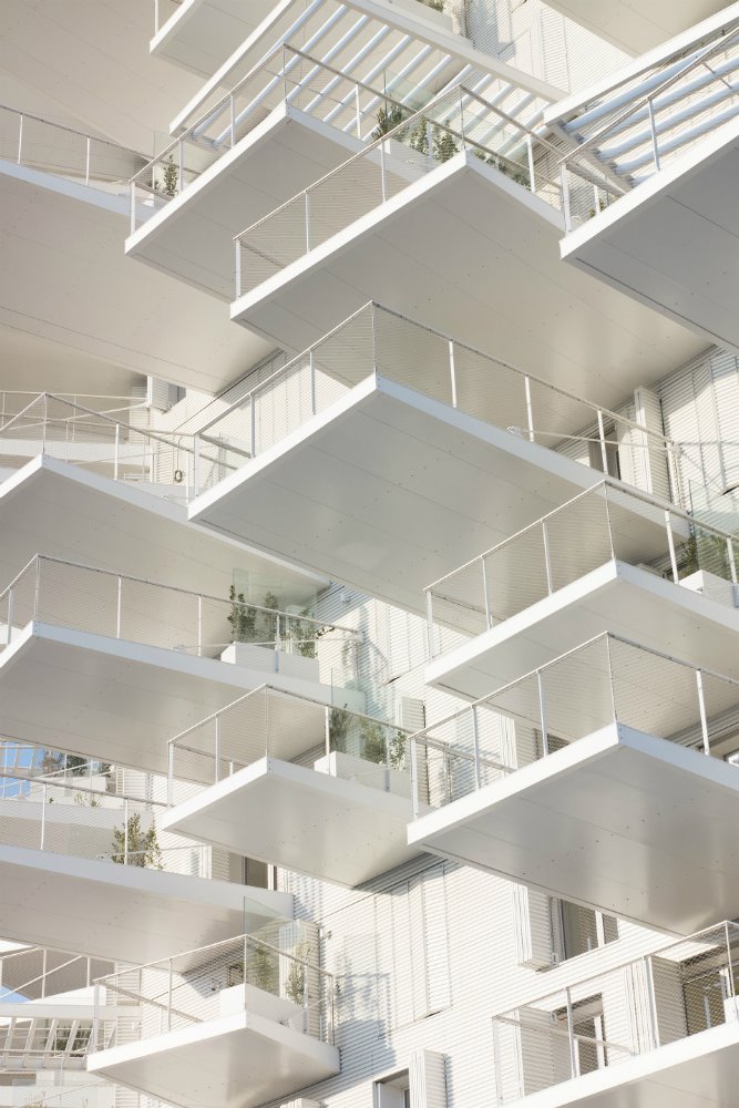 L' Arbre Blanc en Montpellier. 