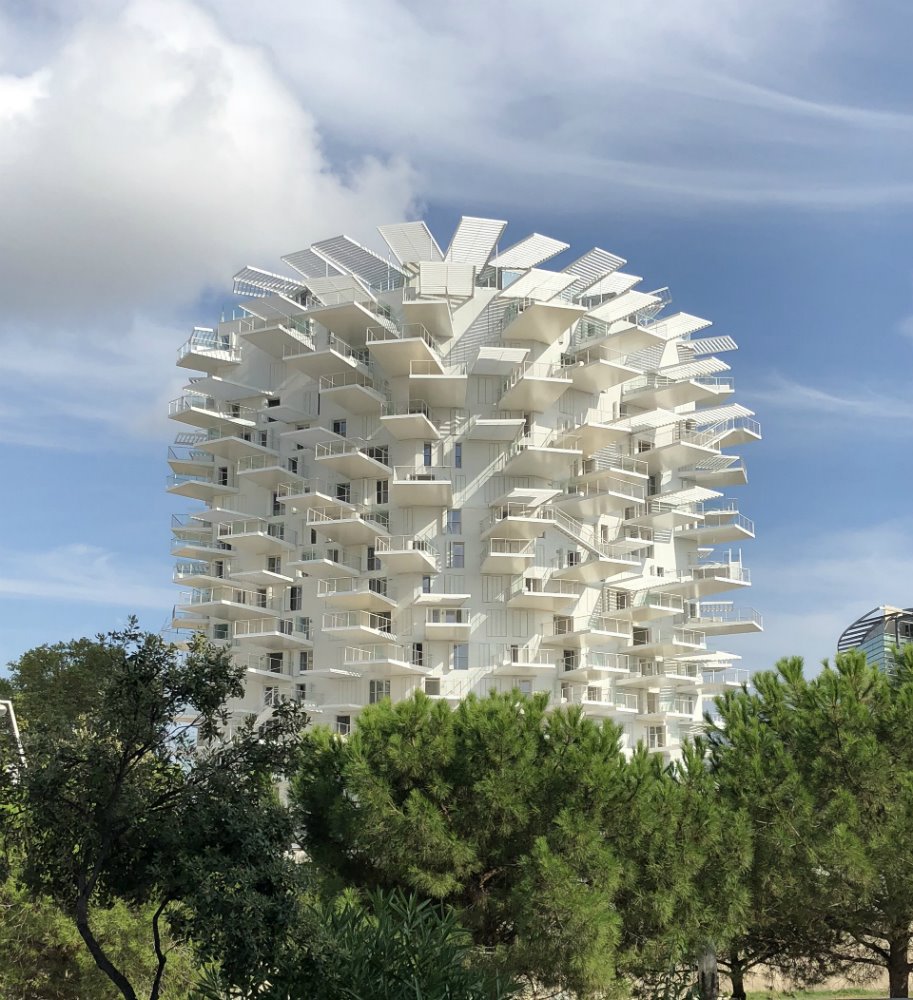 L' Arbre Blanc en Montpellier. 