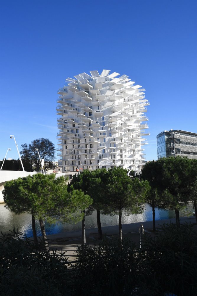 L' Arbre Blanc en Montpellier. 