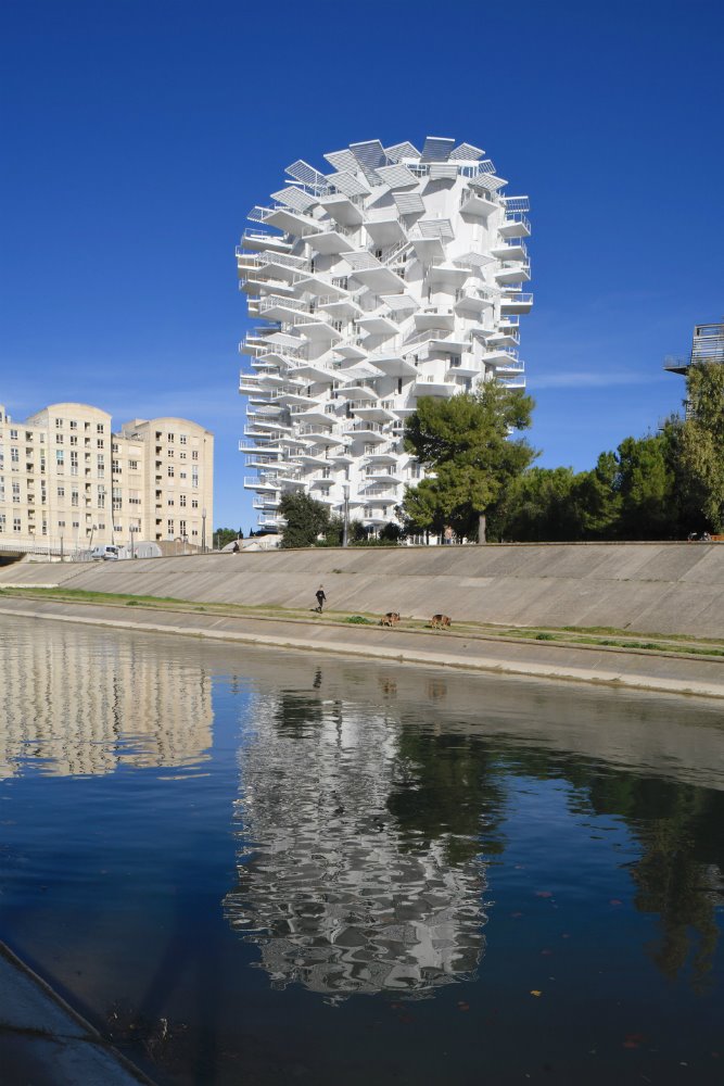 L' Arbre Blanc en Montpellier. 