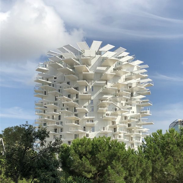 L'Arbre Blanc, de Sou Fujimoto