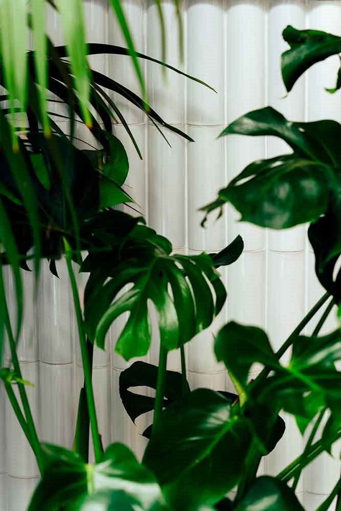 Restaurante-Bunsen-Barcelona-planta