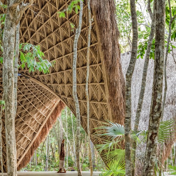 El templo Luum es el lugar perfecto para practicar yoga rodeado de naturaleza