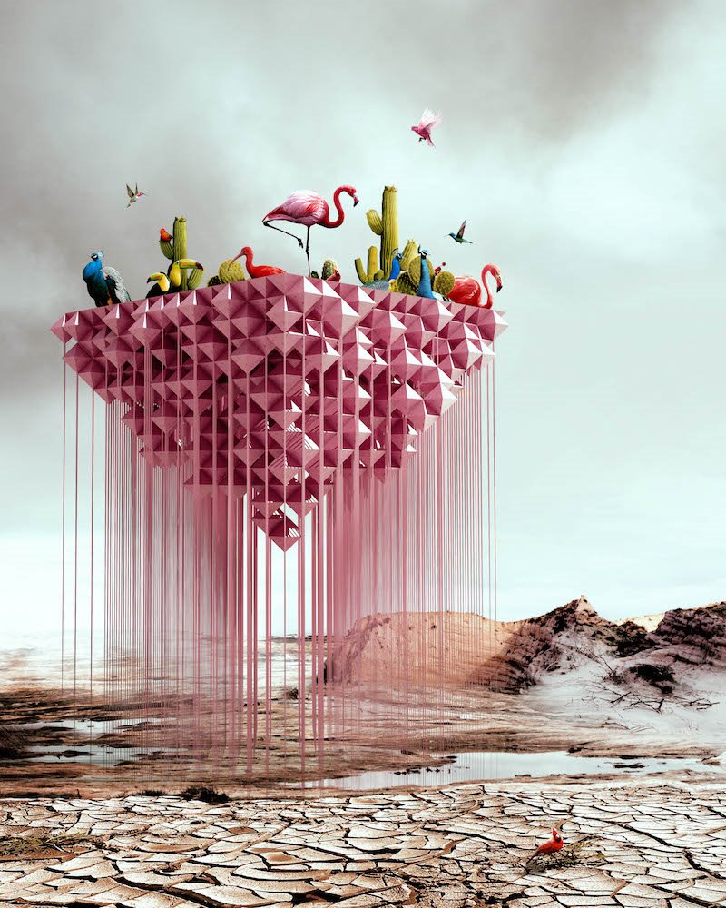 PINK SQUARE ANTIREALITY