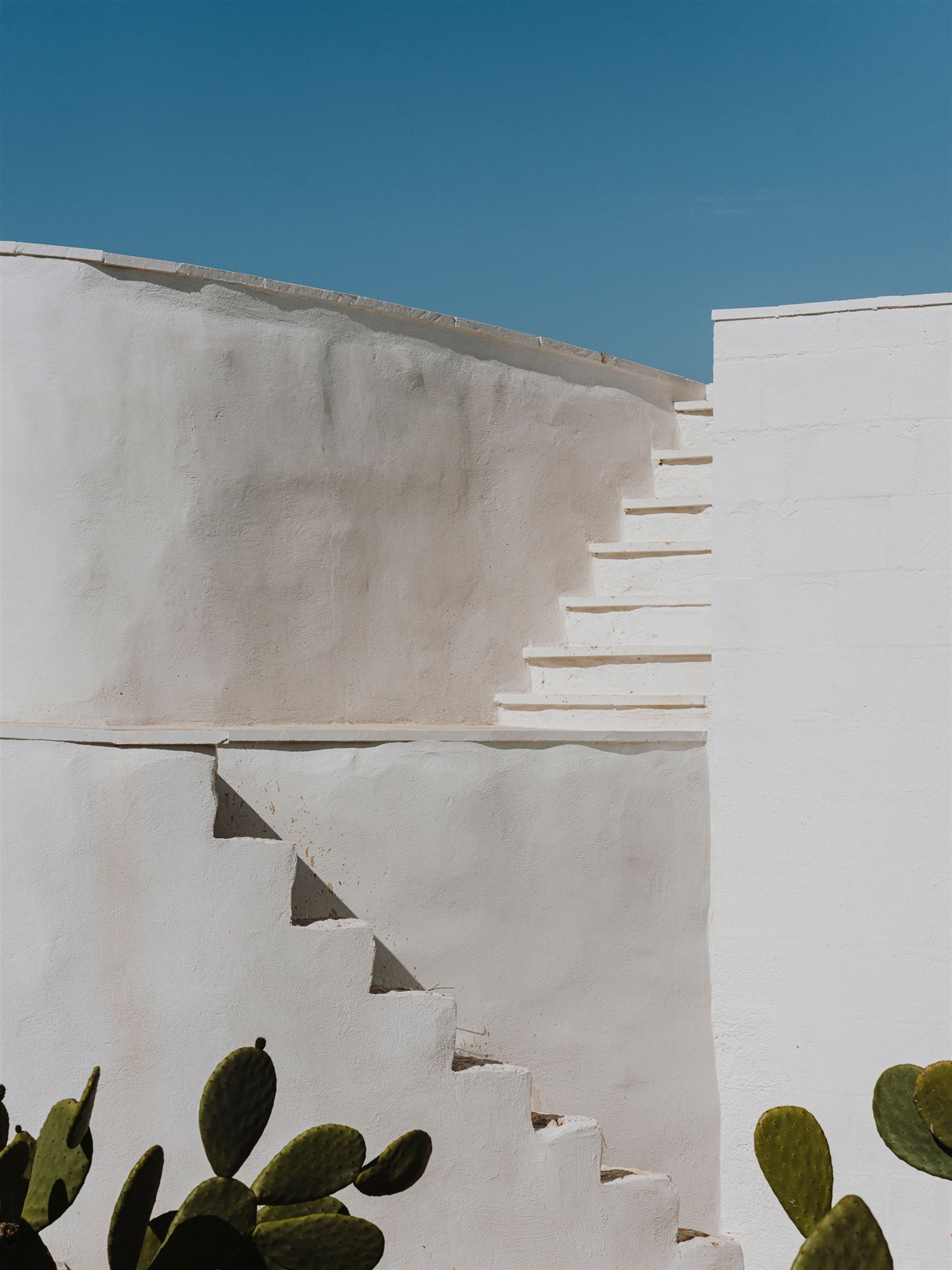 Villa Cardo Studio Andrew Trotter photo- Salva Lopez 56