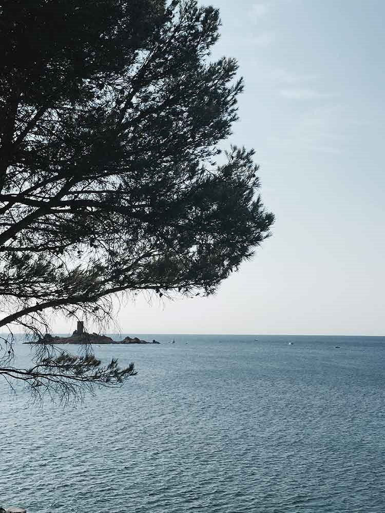 Hotel-Les-Roches-rouges-costa-azul-paisaje