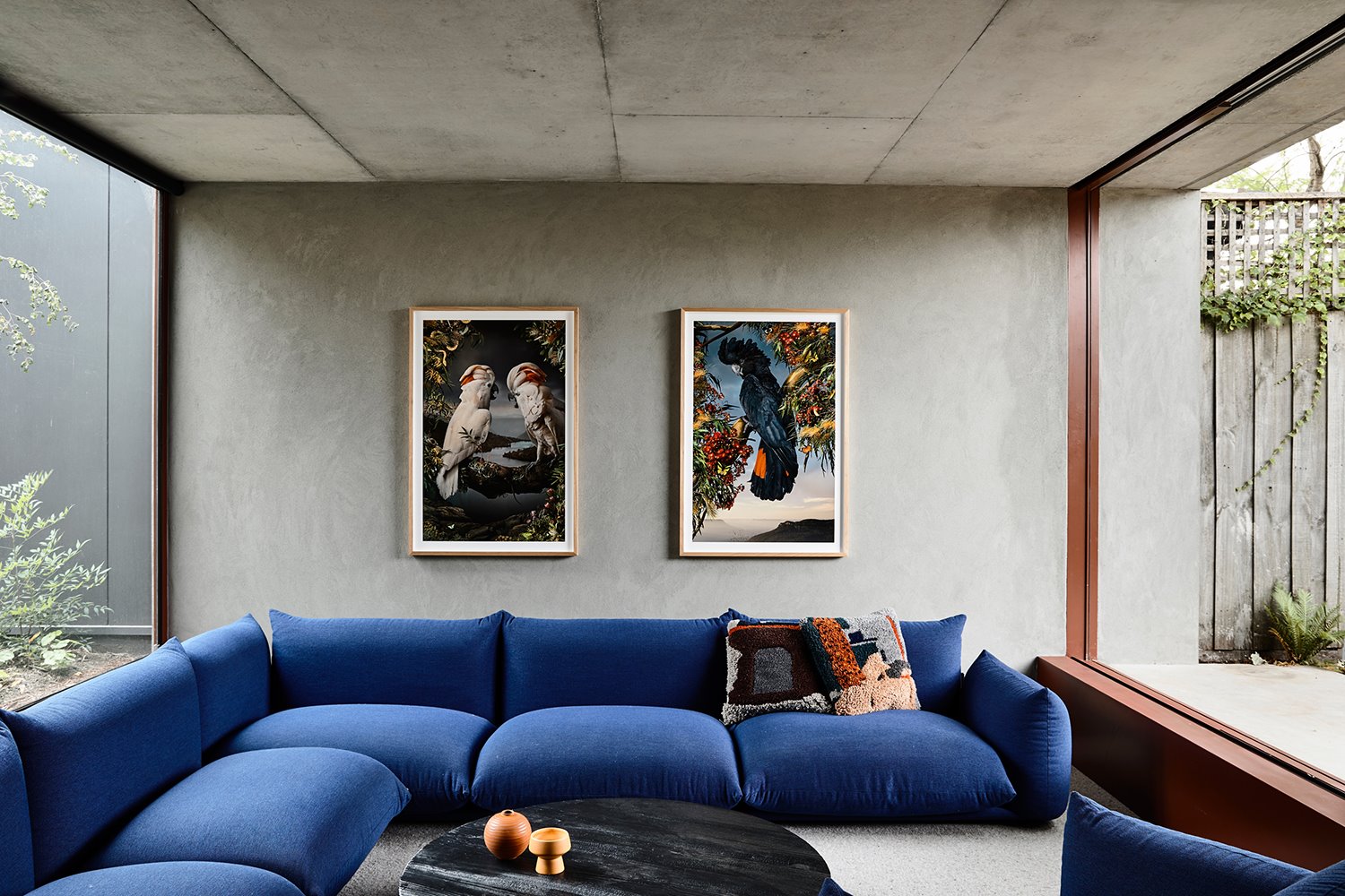 kennedy nolan architects oak tree house 03